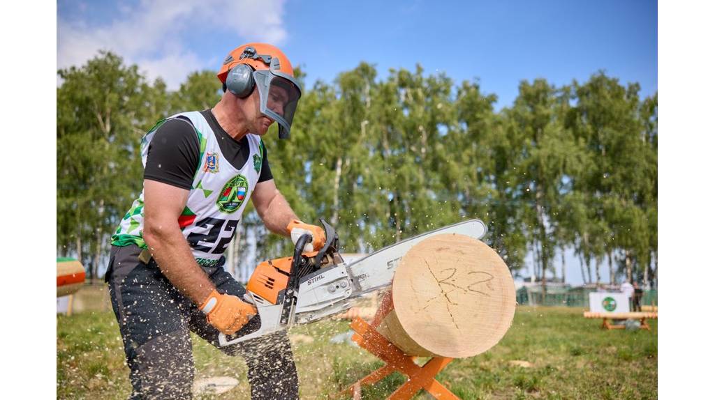 Определены победители открытого чемпионата Брянской области «Лесоруб-2024»