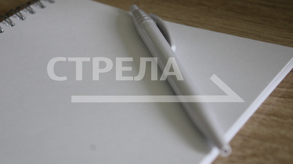 Брянская область находится в числе лидеров по объему мер поддержки участников СВО