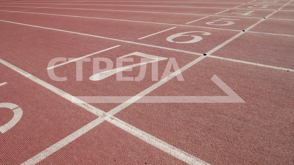 Брянская область заняла 15 место в рейтинге реализации комплекса ГТО 6+