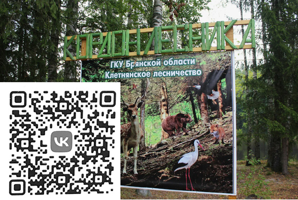 На официальной странице в сети ВК ГКУ «Клетнянское лесничество» любой желающий может найти для себя нужную информацию