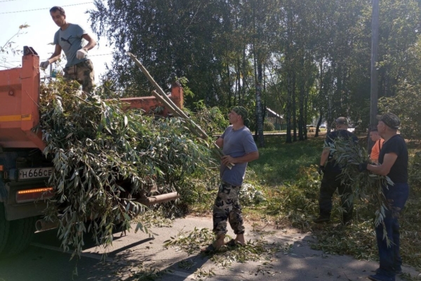 В центре Клетне провели кронирование деревьев
