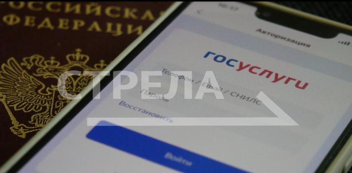 Жители Брянской области могут проголосовать за подключение сёл к интернету