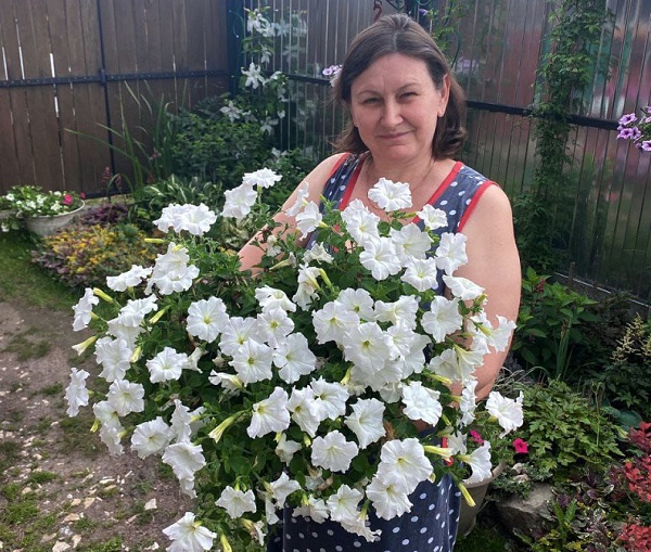 Цветоводы Клетнянского района радуют земляков прекрасными дизайнами палисадников