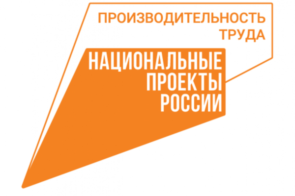 Производительность труда: о нацпроекте в теории и на практике, как это работает