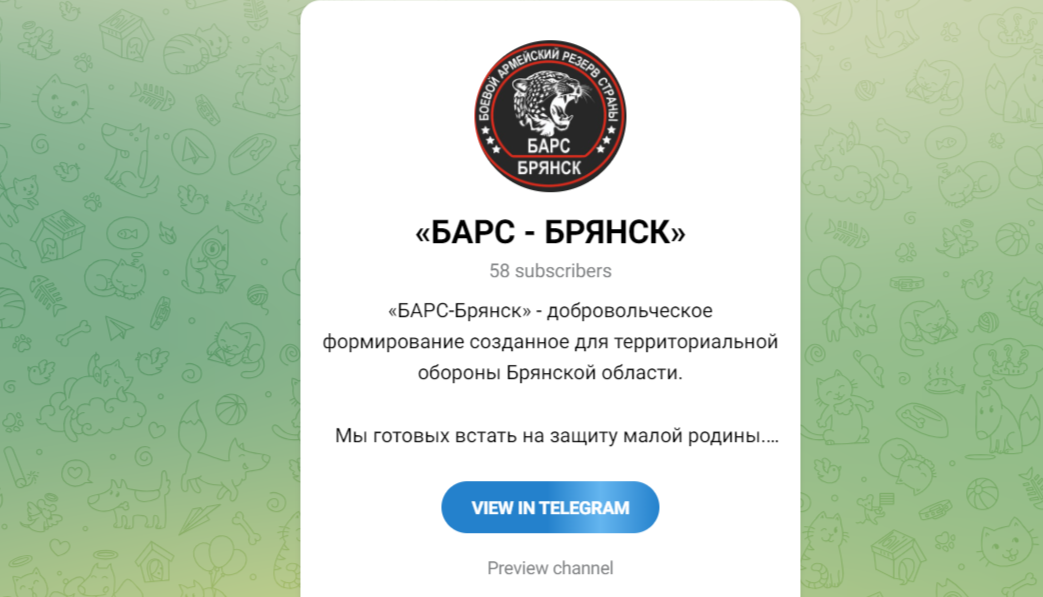Добровольческий отряд «БАРС-Брянск» запускает телеграм-канал
