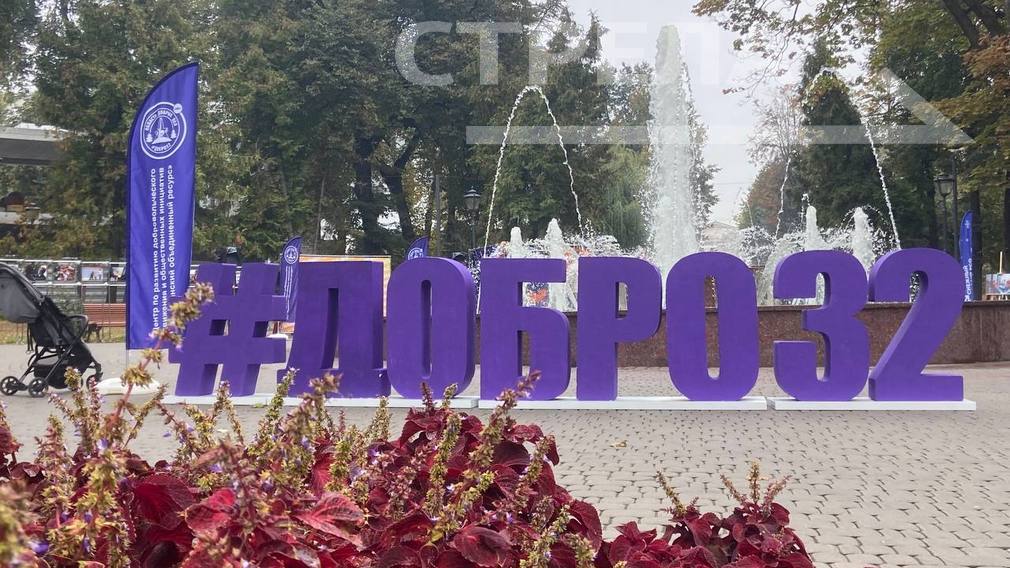 В сквере Карла Маркса проходит Фестиваль #20летДобраНаБрянщине