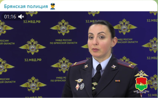 В Брянской области в новогодние праздники запрещено использование пиротехники