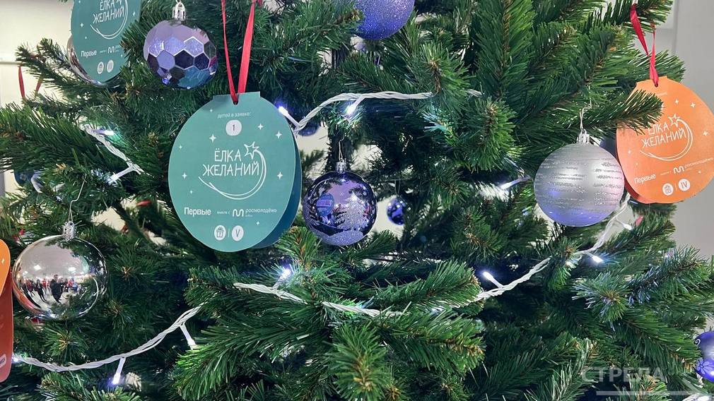 Губернатор Александр Богомаз открыл «Ёлку желаний»