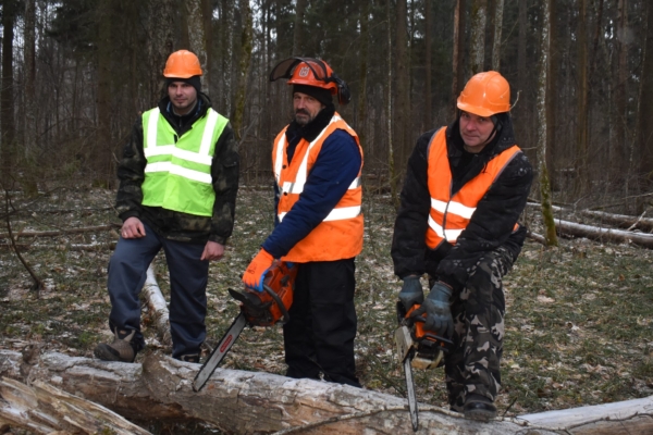 Клетнянская трудовая династия лесорубов