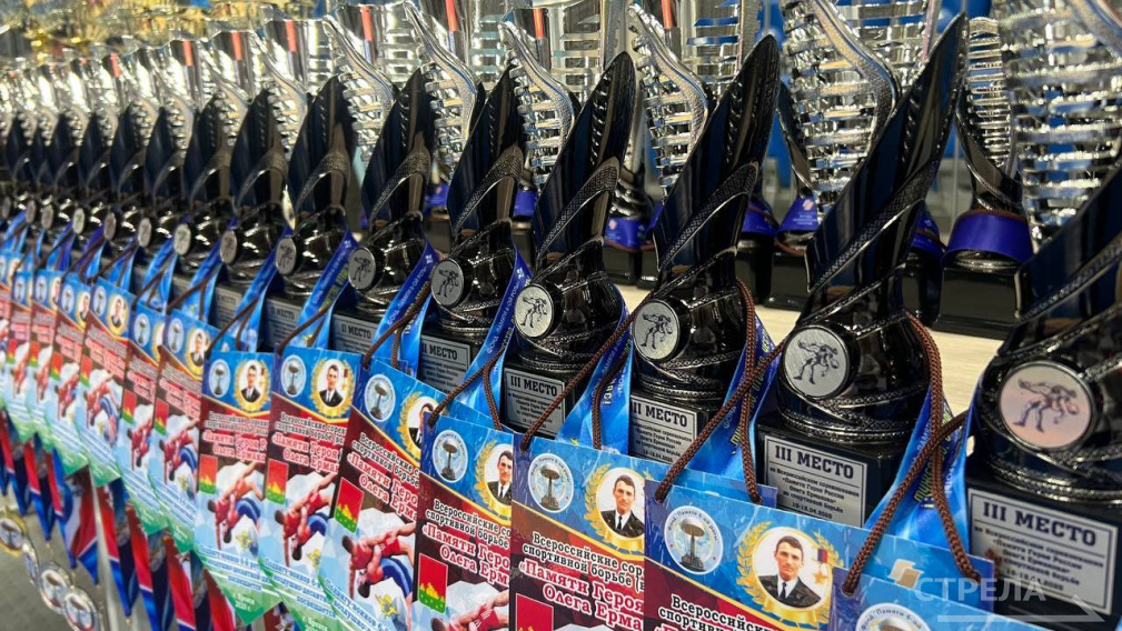 В Брянске прошло открытие соревнований «Памяти Героя России Олега Ермакова»