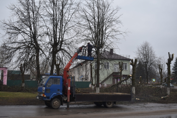 В центре Клетни проводят кронирование деревьев