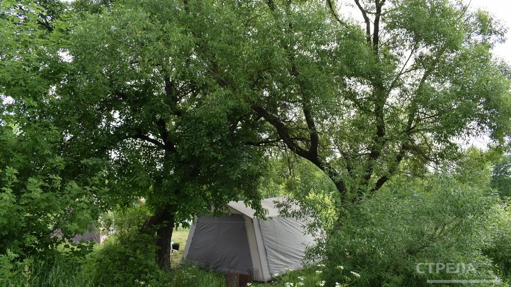 В Брянской области в 2025 году реализуют проект «Кемпинг Панорама»