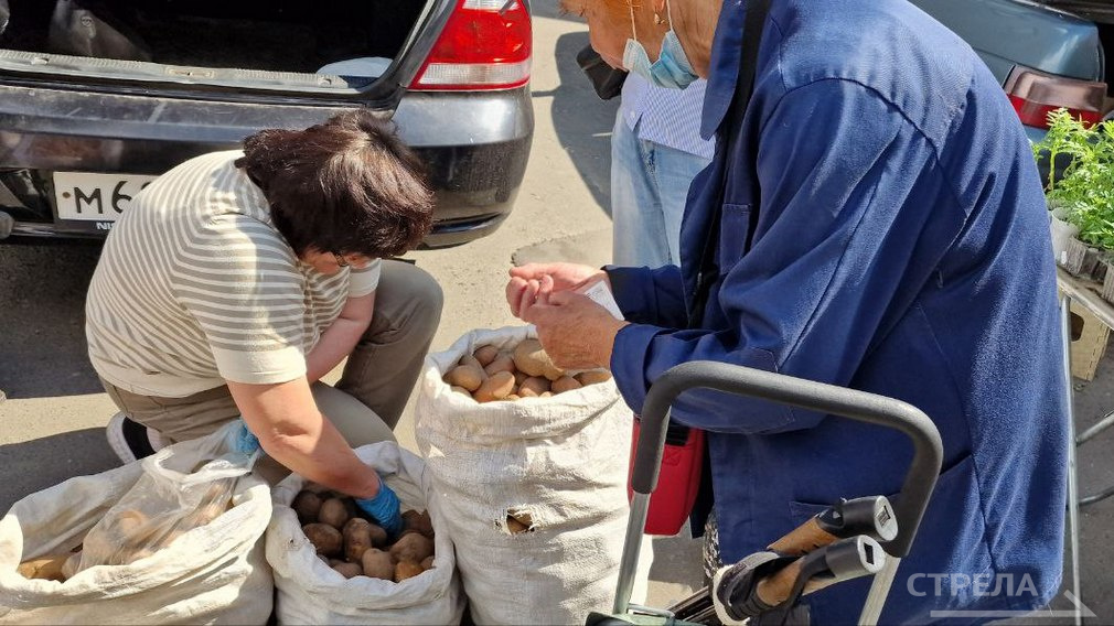 В Брянске на ярмарке выходного дня предлагают сельхозпродукцию по доступным ценам