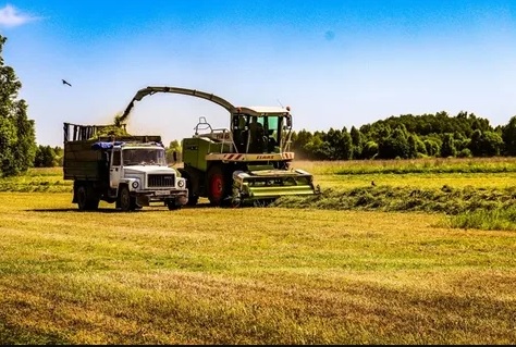 В Севском районе в полную мощность приступил к работе «зеленый конвейер»