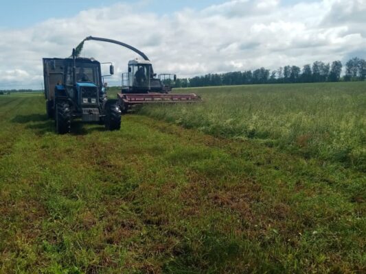 В Красной Горе заготавливают корма для животных