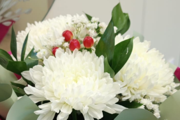 Губернатор Александр Богомаз поздравил земляков с Днем работников культуры Брянской области