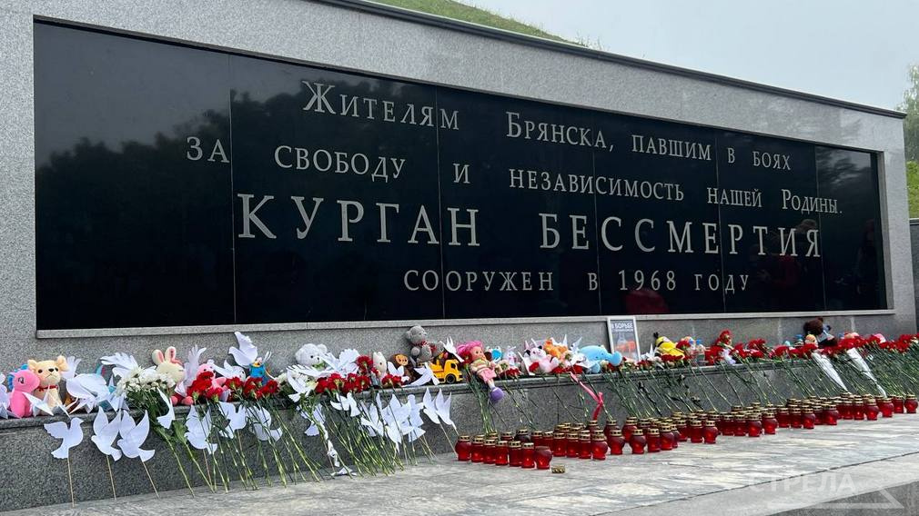В Брянске прошла акция ко Дню памяти детей — жертв войны на Донбассе