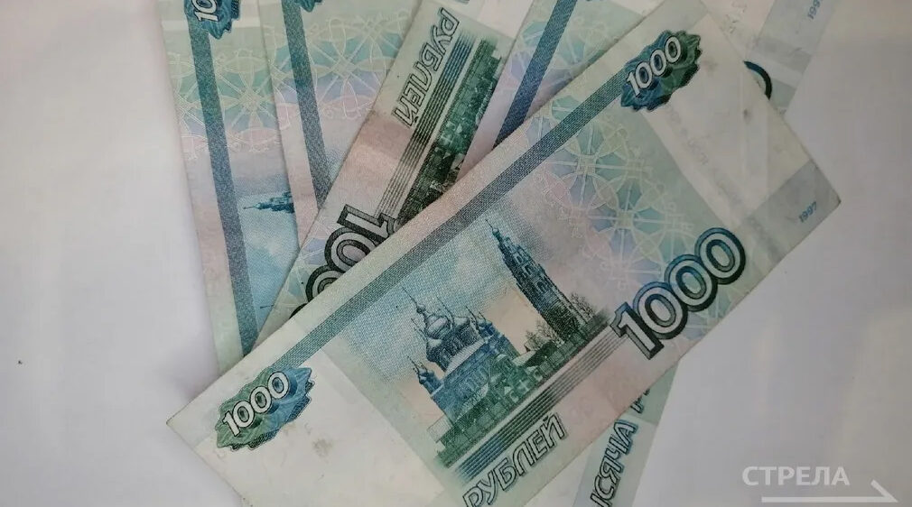 Брянцам рассказали о возможностях нацпроекта «Эффективная и конкурентная экономика»