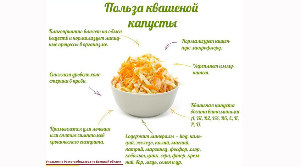 Квашеная капуста: суперфуд для иммунитета и долголетия