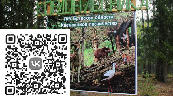 Подписывайтесь на госпаблик Клетнянского лесничества!