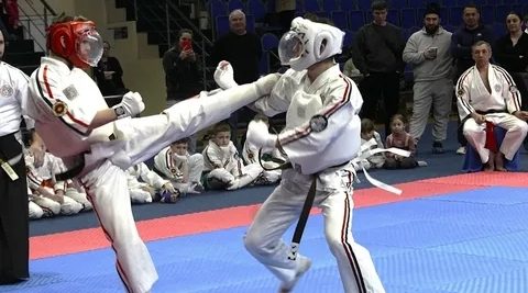 Брянцы триумфально выступили на чемпионате мира по Косики каратэ