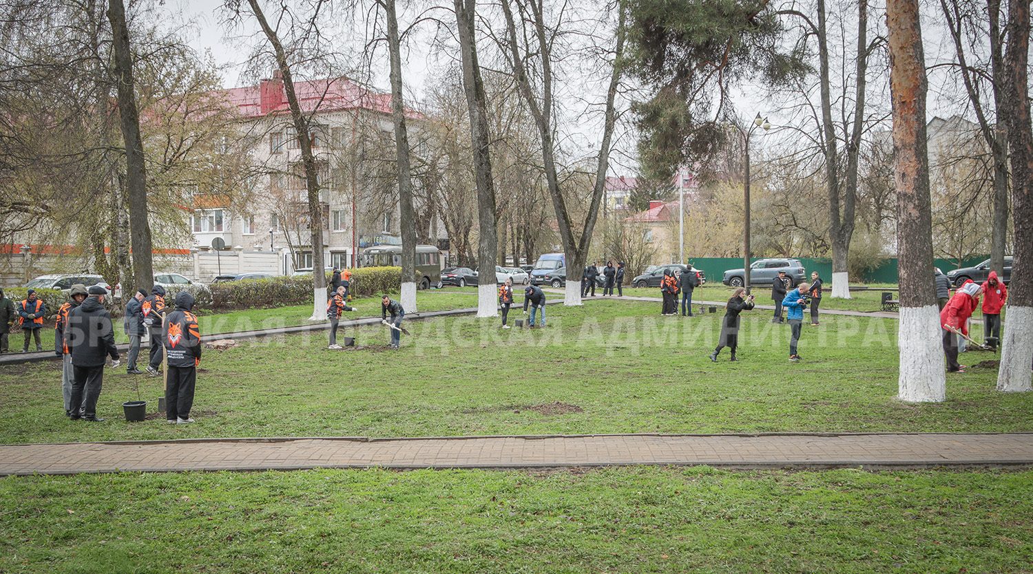 В сквере Памяти трагедии в Чернобыле посадили 15 клёнов