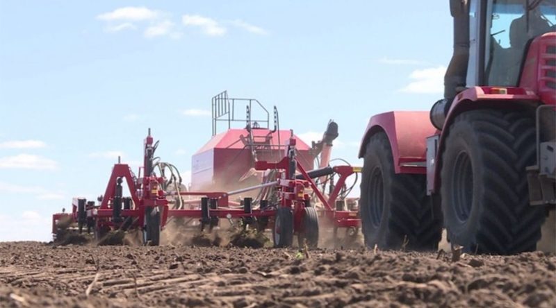 Брянские аграрии приступили к посадке «второго хлеба»