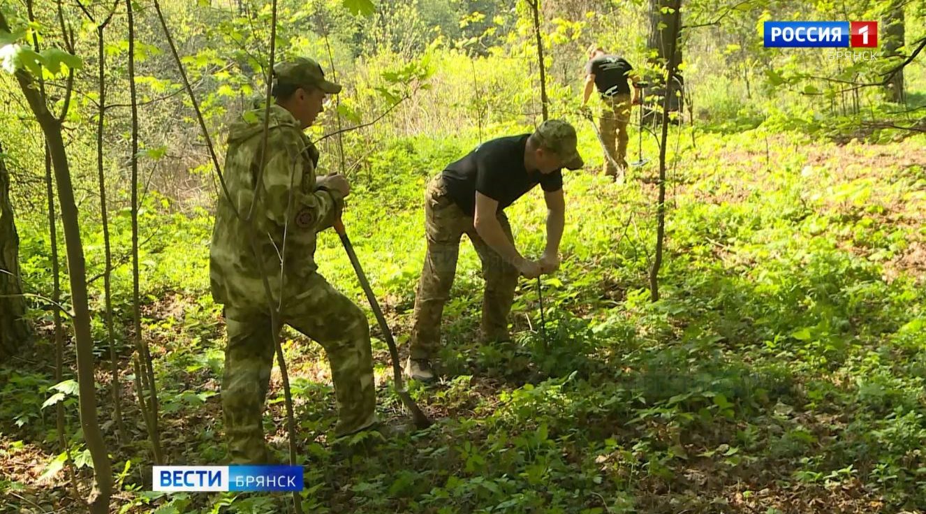 Поисковики обследуют урочище «Лесные сараи» под Брянском