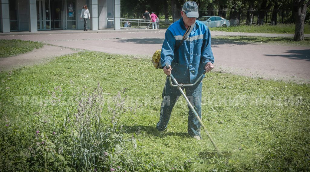 За выходные в Брянске скосили более 115 тысяч квадратных метров травы