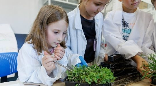 В России подвели итоги Единой модели профориентации за 2025/2026 учебный год