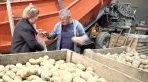 В Брянской области продолжается уборочная кампания