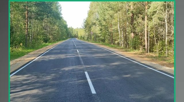 В рамках национального проекта  в Рогнединском районе Брянской области обновили участок дороги