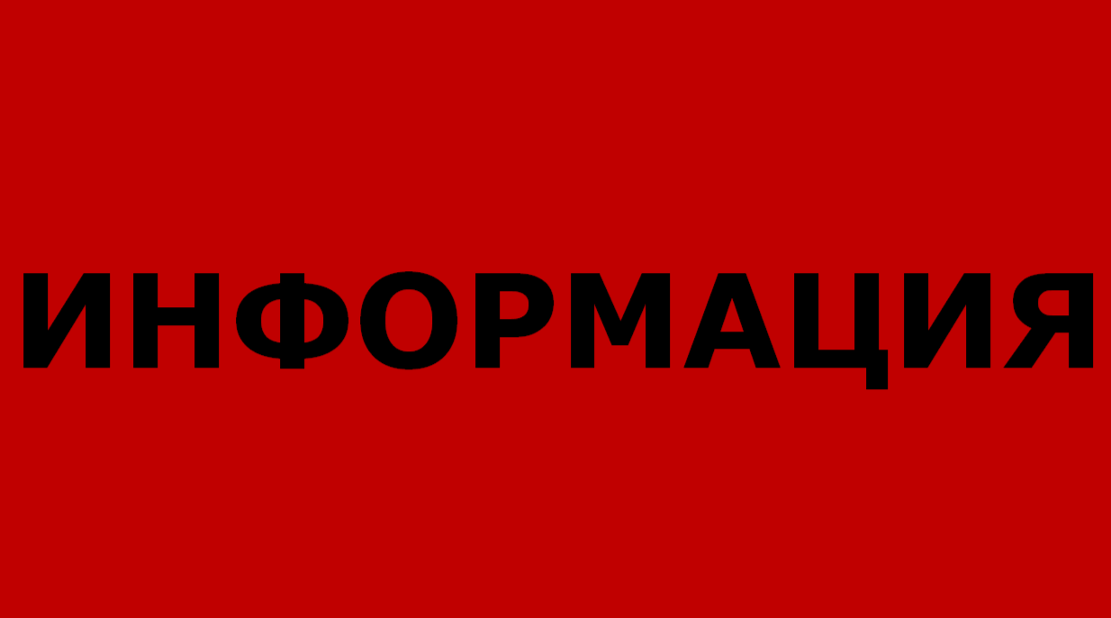 О мерах поддержки участников СВО и их семей в Брянской области